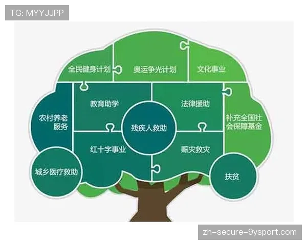 全民健身专项资金使用效率稳步提升，全民健身相关基金
