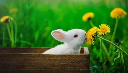 九游下载中心-中国足球联赛俱乐部财务管理透明度持续加强，足球俱乐部财务报表